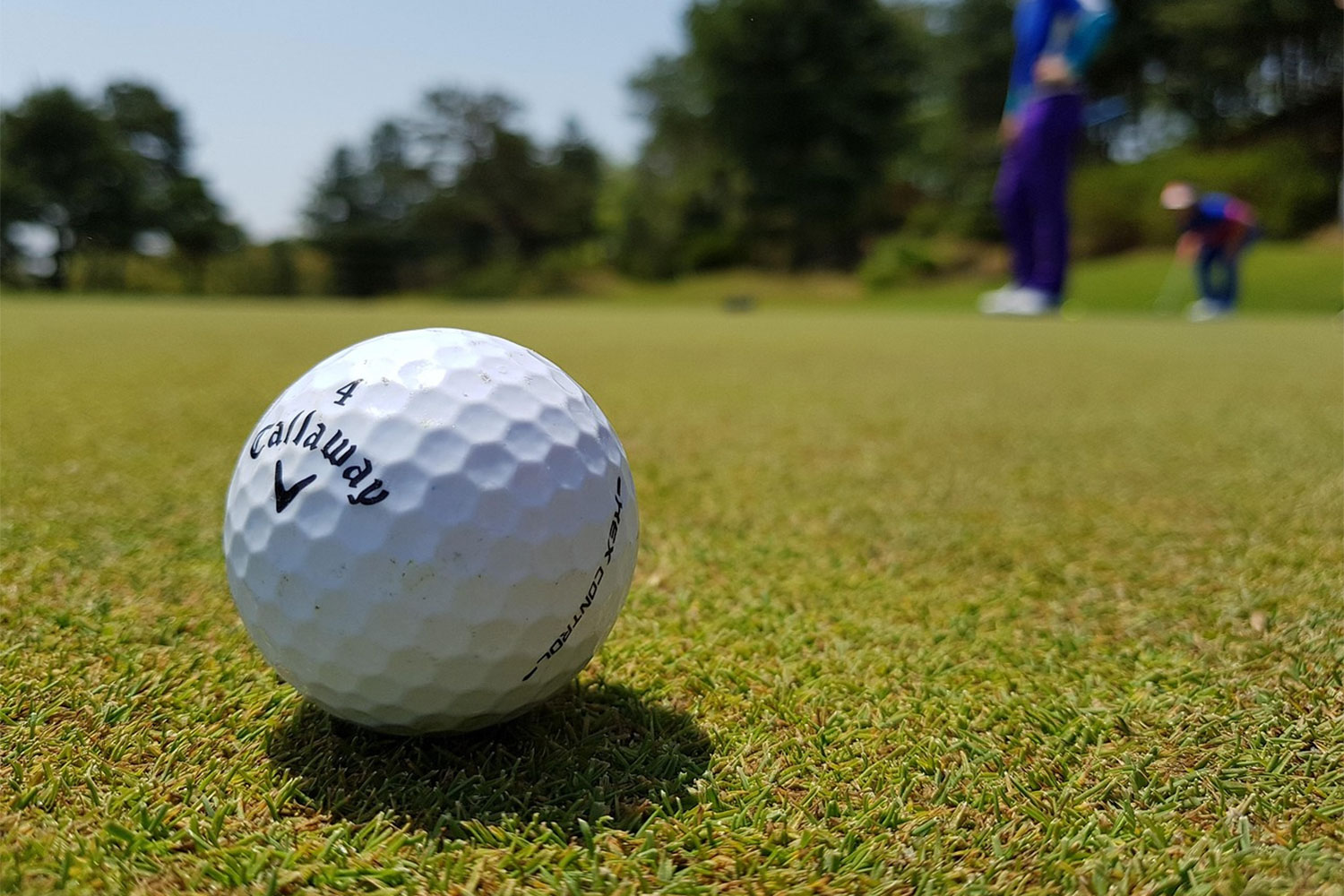 golfophold